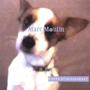 Entertainment - Translucent Vinyl by Marc Moulin