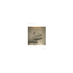 Shade by Grouper