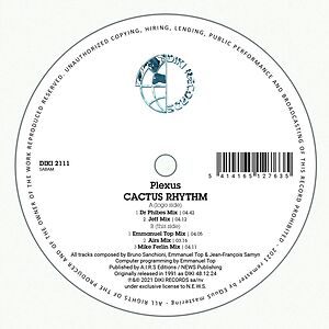 Cactus Rhythm by Plexus