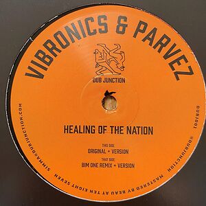 Healing Of The Nation by Vibronics