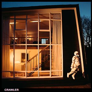 Crawler - standard black vinyl  by Idles