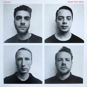 What You Need by Goose