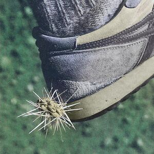 Tread - Black vinyl by Ross From Friends