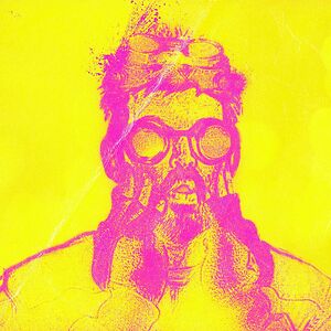 Extreme Witchcraft - ltd 180gr by Eels