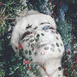 Dust by Oaktree