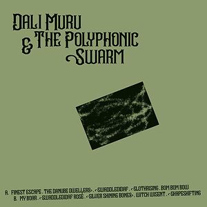 Dali Muru & The Polyphonic Swarm by Dali Muru & The Polyphonic Swarm