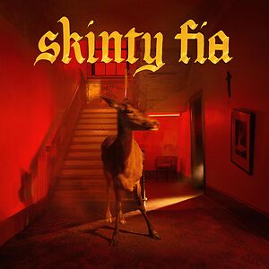 Skinty Fia - Black vinyl by Fontaines D.C.