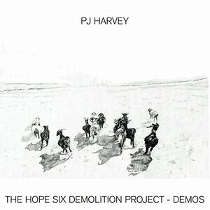 Hope Six Demolition Project Demos by PJ Harvey