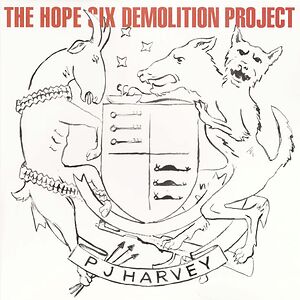 The Hope Six Demolition Project by PJ Harvey