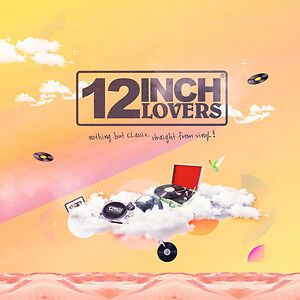 12 Inch Lovers (Sampler 4) by Various