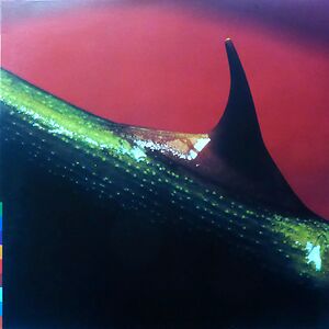 Night Song by Nusrat Fateh Ali Khan