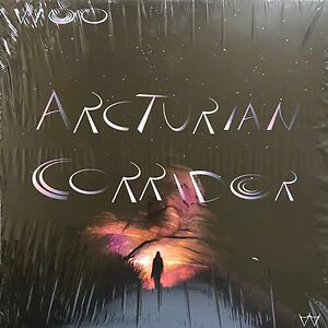 Arcturian Corridor by Woo