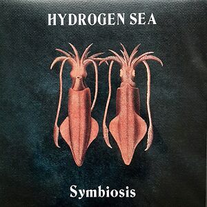 Symbiosis by Hydrogen Sea