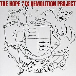 The Hope Six Demolition Project by PJ Harvey