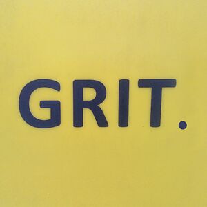 GRIT. by Luke Vibert