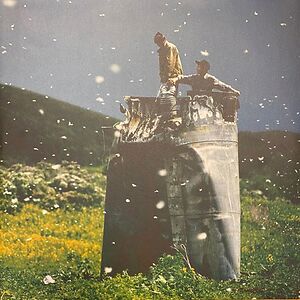 Alas My Love - Deluxe 2lp edition by The Bony King Of Nowhere