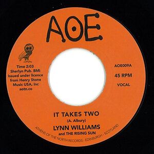 It Takes Two by Lynn Williams