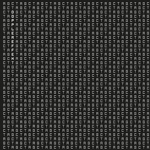Tetrahymena by Dopplereffekt