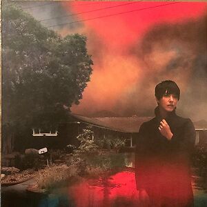 We've Been Going About This All Wrong by Sharon Van Etten