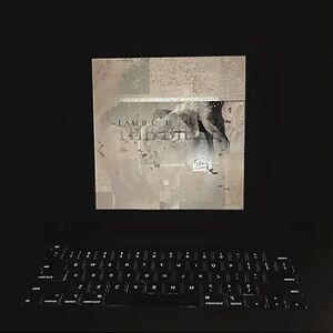 The Bible - Black & Orange Marbled Vinyl by Lambchop