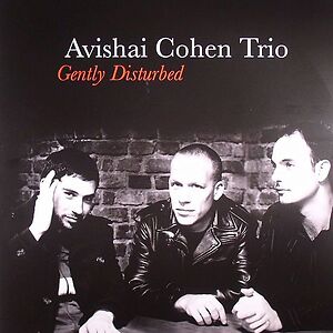 Gently Disturbed by Avishai Cohen Trio