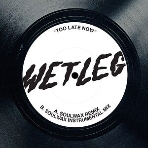 Too Late Now - Soulwax Remix by Wet Leg