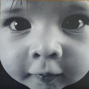 The Early Years by Wolfgang Vanwymeersch