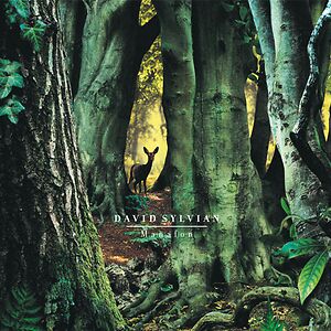 Manafon by David Sylvian