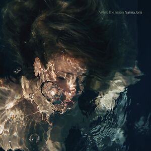 While The Moon by Naima Joris