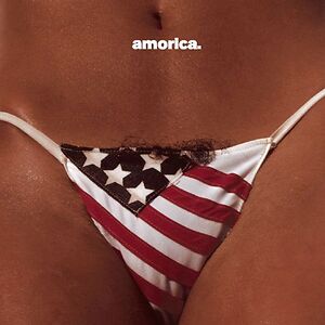Amorica by The Black Crowes