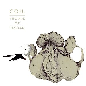 The Ape Of Naples by Coil