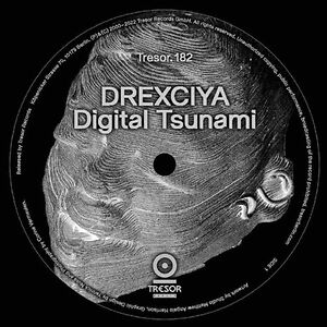 Digital Tsunami (2025 Repress) by Drexciya
