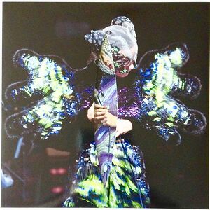 Vulnicura Live by Bj