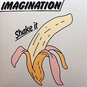 Shake It by Imagination (German AOR Soft-Rock band)