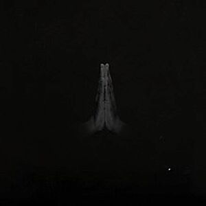 Untitled (Rise) by Sault