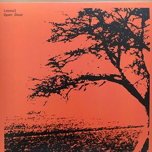 Open Door by Losoul
