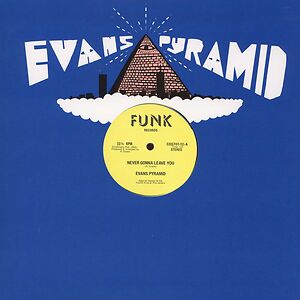 Never Gonna Leave You / The Dip Drop by Evans Pyramid
