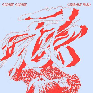 Chagrin Bleu by Citron Citron