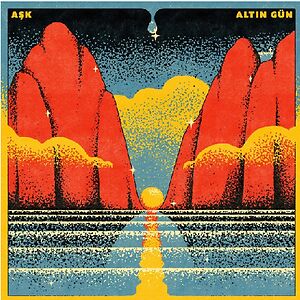 Ask by Altin G
