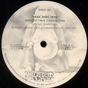 More, More, More by Andrea True Connection