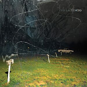 This Stupid World by Yo La Tengo