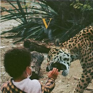 V - Regular Edition by Unknown Mortal Orchestra