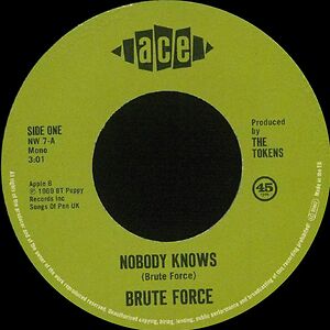 Nobody Knows by Brute Force