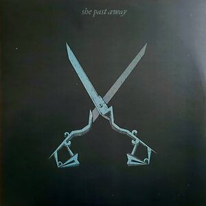 X - Turquoise Vinyl by She Past Away