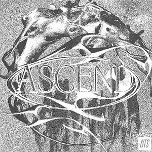 Ascend by Various