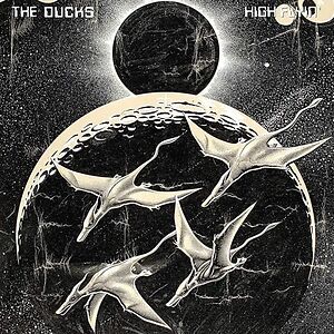 High Flyin' by The Ducks