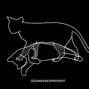 Experiment Defined by Gedankenexperiment