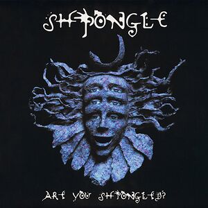 Are You Shpongled? by Shpongle