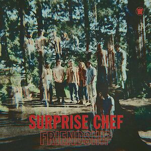 Friendship EP - Black Vinyl by Surprise Chef