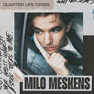 Quarter Life Crisis by Milo Meskens
